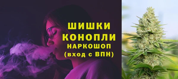 дживик Гусь-Хрустальный