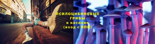 прущая мука Дмитров