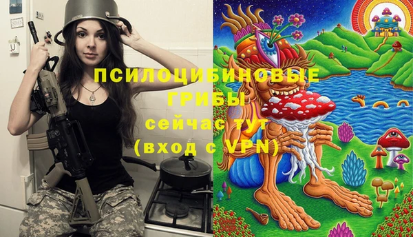 MDMA Premium VHQ Дмитровск