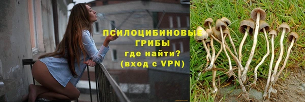 прущая мука Дмитров