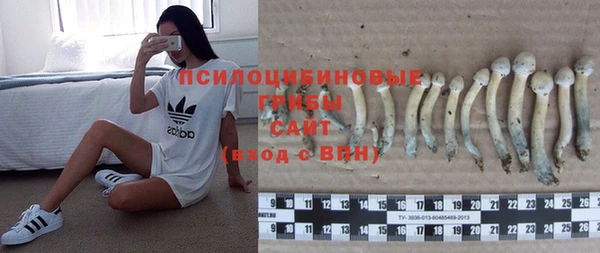 MDMA Premium VHQ Дмитровск
