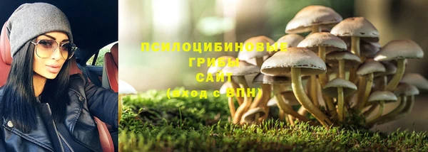 бутират Дмитриев