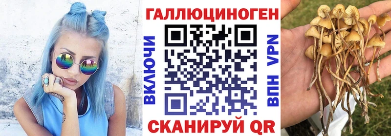 Купить  Протвино  Галлюциногенные грибы Magic Shrooms 
